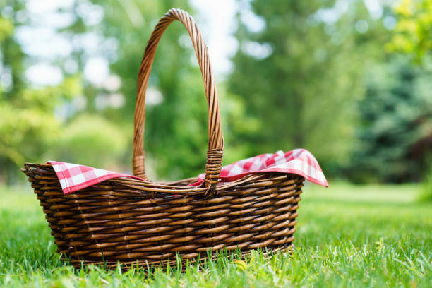 istock Empty wicker basket with red tablecloth on green grass in a park. 1154922032