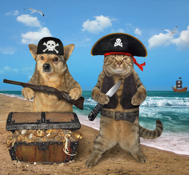 pirate de crabot et de chat près des trésors 2 - clipper guard photos et images de collection