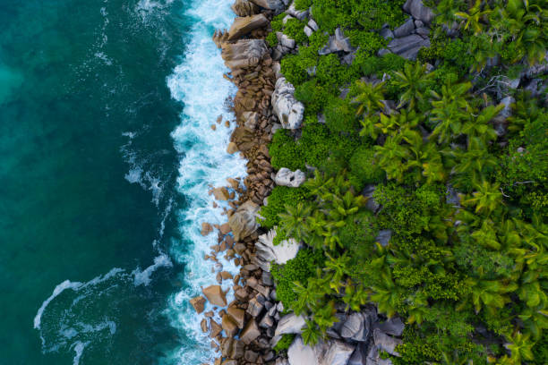 point de vue de drone directement au-dessus du littoral tropical insulaire - aircraft point of view photos et images de collection