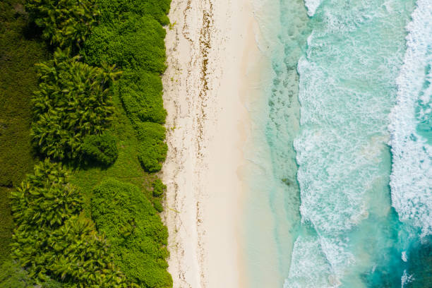 drone point de vue tropical île sable plage océan - aircraft point of view photos et images de collection