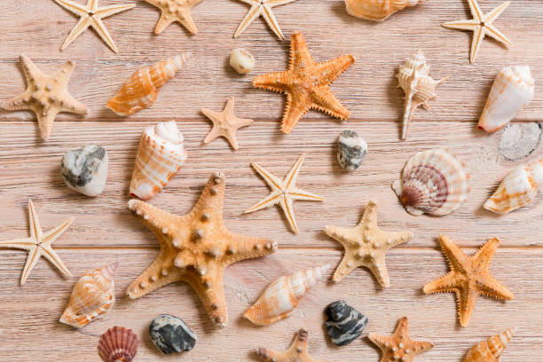 istock Starfish and seashells background on a wooden table, top view, flat lay 1154931225