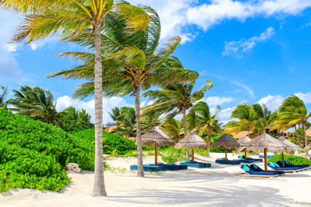 istock Beach Holidays in Mayakoba, Mexico 1154933636