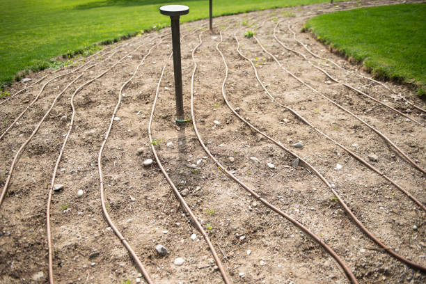 istock Flowers And Aromatic Plants In A Botanical Garden: Irrigation System 1154935605