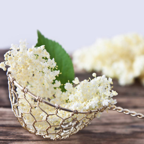 istock Elder flowers and kitchen tools against wooden backgound 1154937671