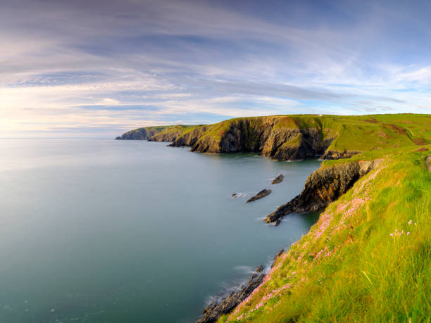 istock Spring evening light on Thrift 'Sea Pinks' in Ceibwr Bay, Pembroke, Wales 1154939239