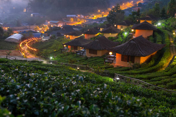 istock Sunrise at Ban Rak Thai. 1154942504