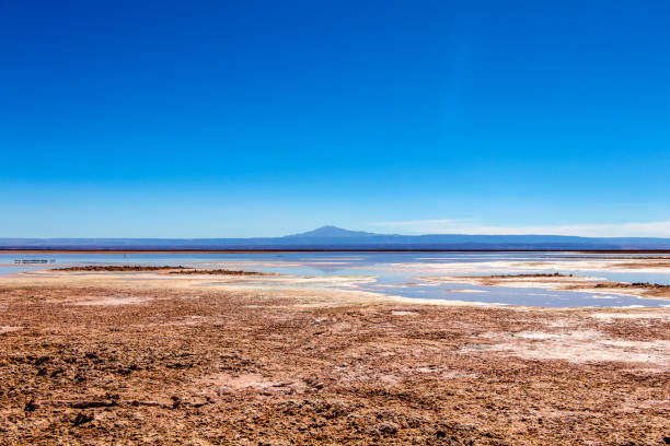 la laguna di chaxa: parte della riserva nazionale di los flamencos, posta nel mezzo del salar de atacama, cile - panoramic nature atacama region south america foto e immagini stock