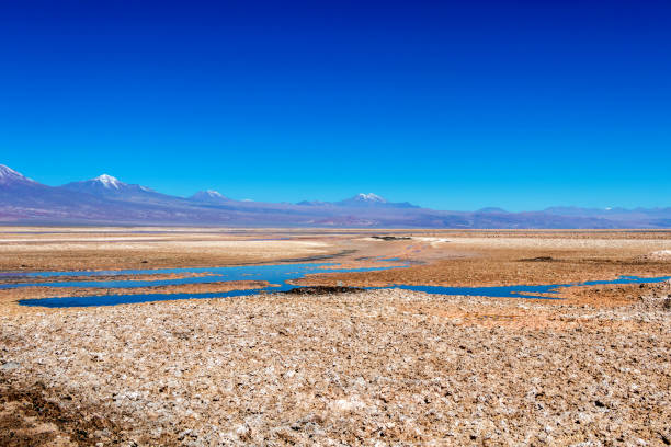 la laguna di chaxa: parte della riserva nazionale di los flamencos, posta nel mezzo del salar de atacama, cile - panoramic nature atacama region south america foto e immagini stock