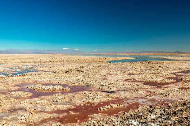 la laguna di chaxa: parte della riserva nazionale di los flamencos, posta nel mezzo del salar de atacama, cile - panoramic nature atacama region south america foto e immagini stock