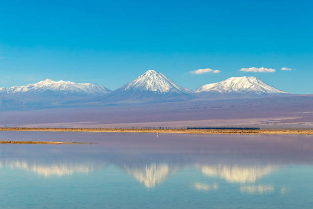 la laguna di chaxa: parte della riserva nazionale di los flamencos, posta nel mezzo del salar de atacama, cile - panoramic nature atacama region south america foto e immagini stock