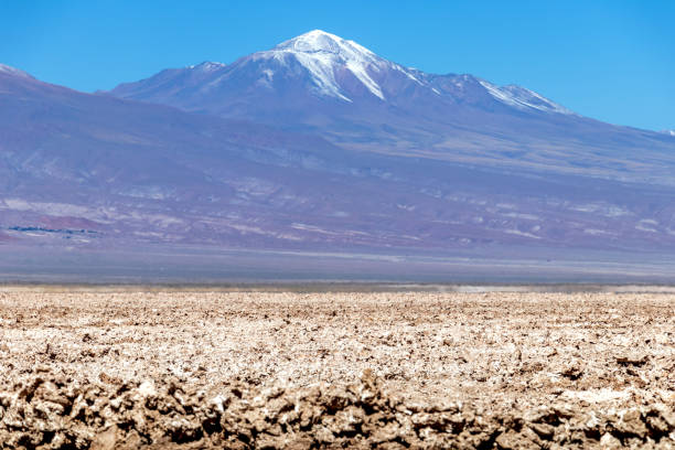 la laguna di chaxa: parte della riserva nazionale di los flamencos, posta nel mezzo del salar de atacama, cile - panoramic nature atacama region south america foto e immagini stock