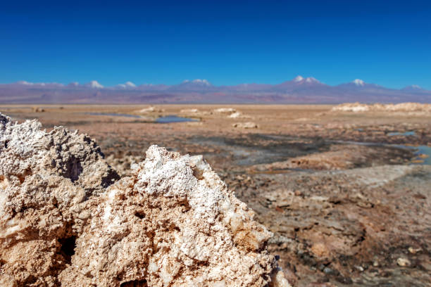 la laguna di chaxa: parte della riserva nazionale di los flamencos, posta nel mezzo del salar de atacama, cile - panoramic nature atacama region south america foto e immagini stock