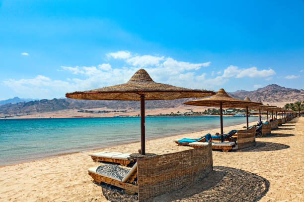 Unoccupied sun lounger on the beach. Unoccupied sun lounger on the beach. Red sea. Dahab. Egypt. dahab photos stock pictures, royalty-free photos & images