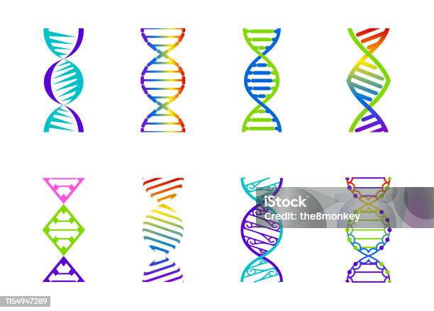 Dna 분자 기호 세트 유전 요소 및 아이콘 수집 가닥 벡터 색상 그라데이션 그림 DNA에 대한 스톡 벡터 아트 및 기타 이미지 ...