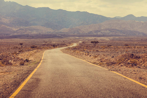 A dirt road leads through a barren desert toward distant, hazy mountains under soft sunlight. The scene is tranquil and remote, with no people, highlighting the rugged beauty of nature and isolation.