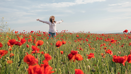 Cheerful lady enjoying nature in romantic outdoor atmosphere, promenade in a wild flowers field, carefree and relaxed.
