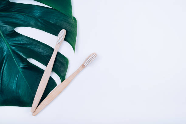 istock Two bamboo toothbrushes on tropical plant leaf monstera on white background. Plastic free concept. 1154950713