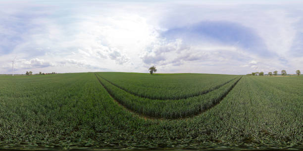 360 degrees spherical panoramic shot of wind turbines in a rural landscape