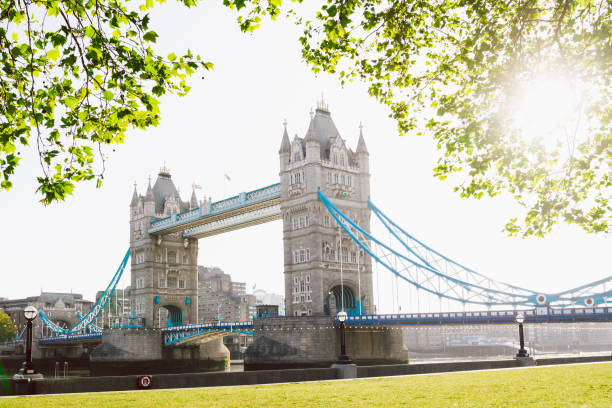 istock Tower Bridge in London at sunrise 1154952171