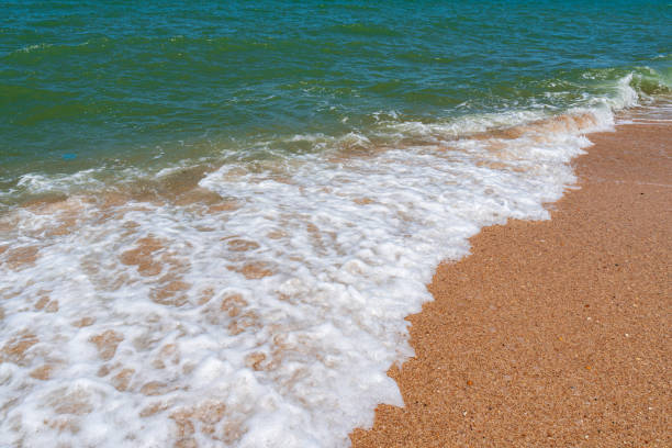 istock Empty beach with golden sand and azure water 1154955240