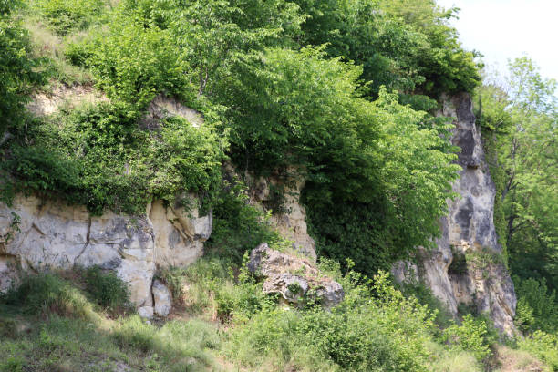 The rocks of the mountain Saint Pierre Rocks in the Saint Pierre mountain nature reserve in Belgium on the Dutch border bush land natural phenomenon environmental conservation stone stock pictures, royalty-free photos & images