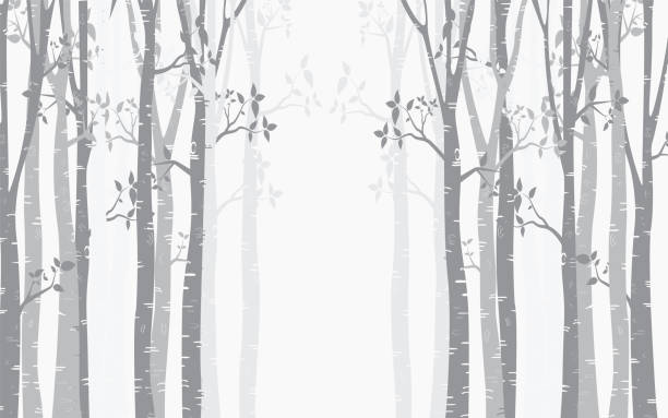 ilustraciones, imágenes clip art, dibujos animados e iconos de stock de árbol de abedul diseño fondo con bosque de abedul vector - birch tree birch forest tree