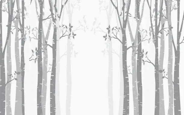 Vector illustration of Tree Birch design Background with birch forest vector