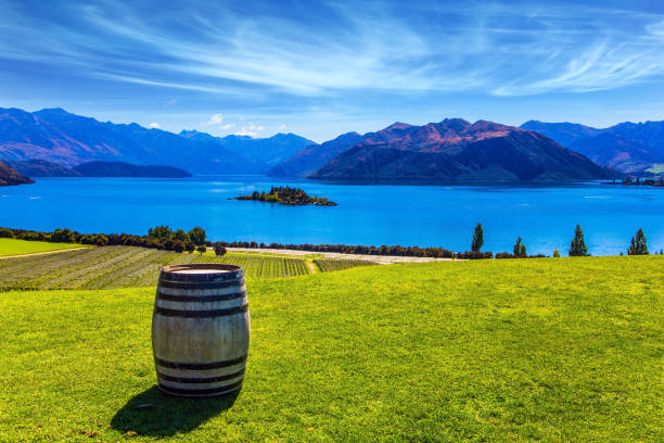 istock Large wine barrel stands on the lawn 1154958377