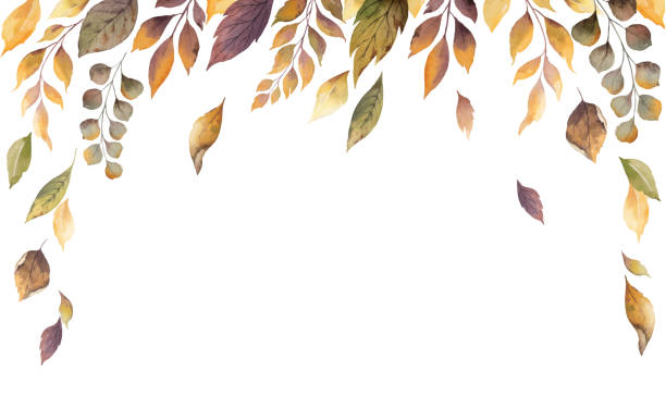 Watercolor vector autumn card with fallen leaves isolated on white background. Watercolor vector autumn card with fallen leaves isolated on white background. Botanic composition for greeting cards, wedding invitations, floral poster and decorations. brown illustrations stock illustrations