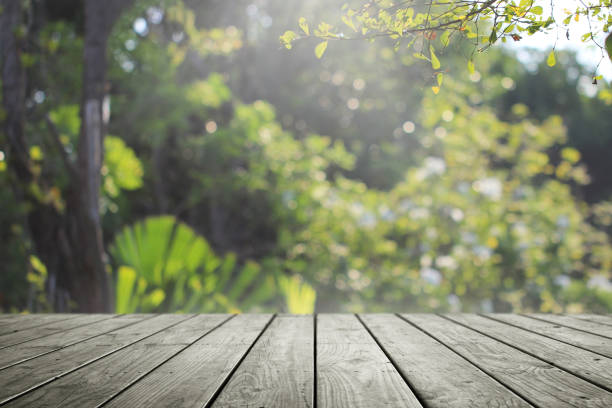 istock Wooden empty and blurred fresh green nature garden background. 1154961024