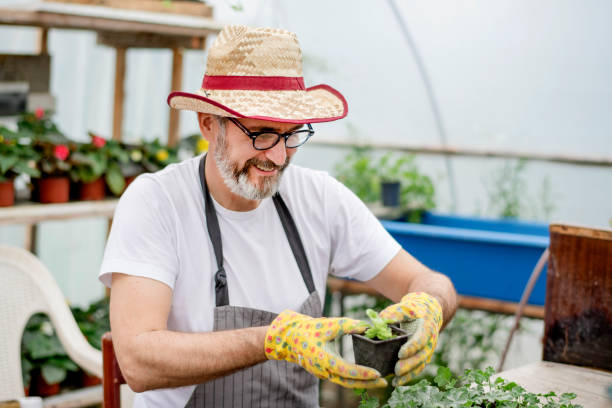 istock Mature gardener planting flowers. 1154962696