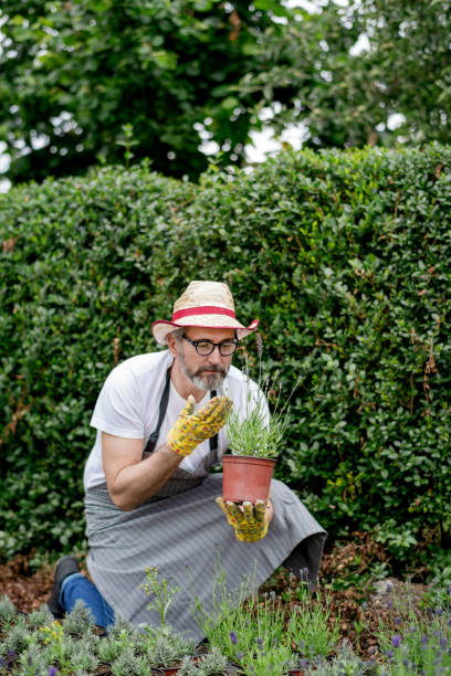 istock Mature  man working in plant nursery 1154964431