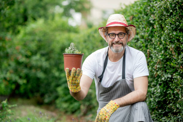 istock Proud on my small business 1154964481