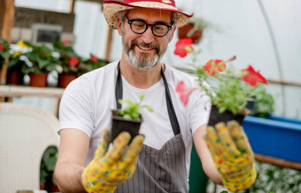 istock Mature  man working in plant nursery 1154965114