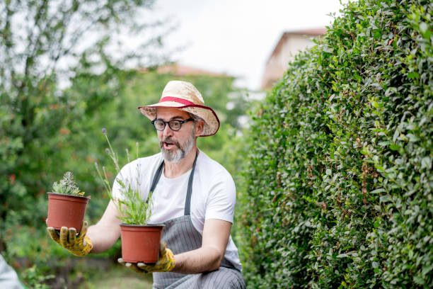 istock Mature  man working in plant nursery 1154965868