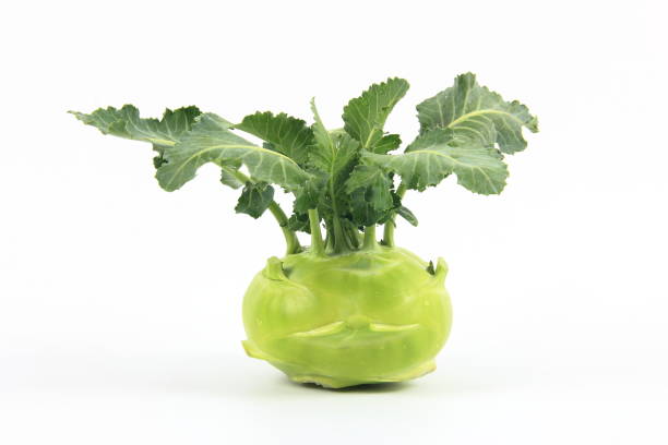 frischer kohlrabi mit grünen blättern - kohlrabi on food ripe stock-fotos und bilder