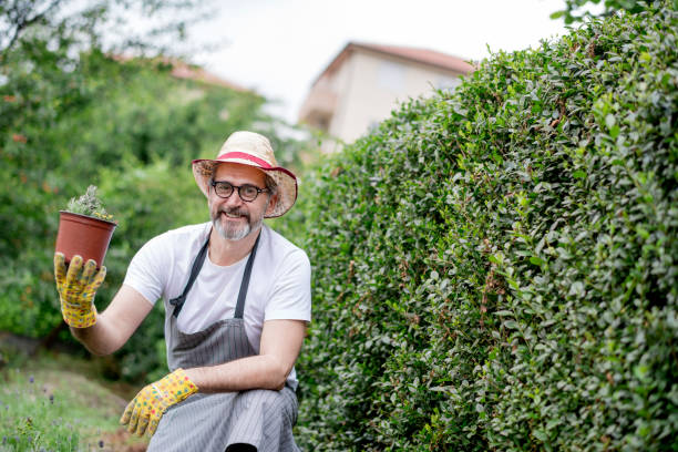 istock Proud on my small business 1154968939