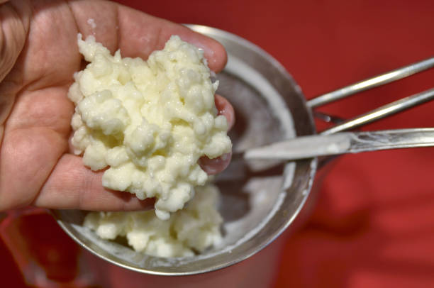 istock Pouring of the Kefir 1154971830