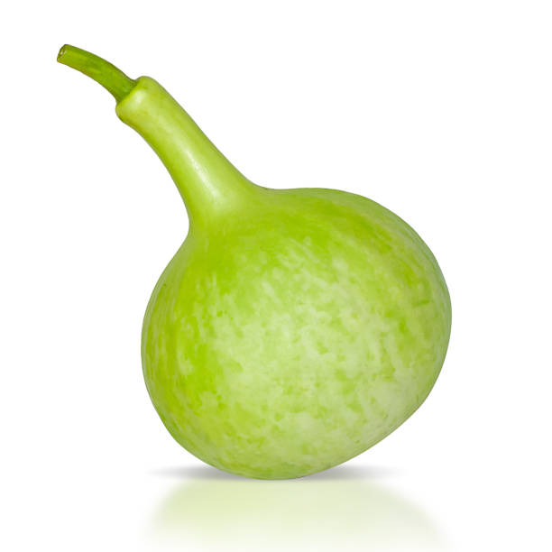 istock Bottle gourd, Calabash gourd isolated on white background 1154972498