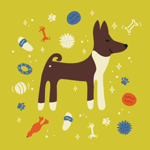 Basenji with dog toys Cute poster of Basenji with dog toys. Vector illustration with pet supplies. Ball, bone, slippers on yellow background. Design template with puppy for banner, business card. Postcard with home animal. pet toy stock illustrations