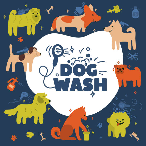 Dog wash illustration Vector illustration with different dog breeds. Funny poster with akita inu, jack russell, spitz, pug, corgi, terrier, sharpei. Dog wash icon. Sign for pet cleaning service. Cute postcard with puppies. pet toy stock illustrations