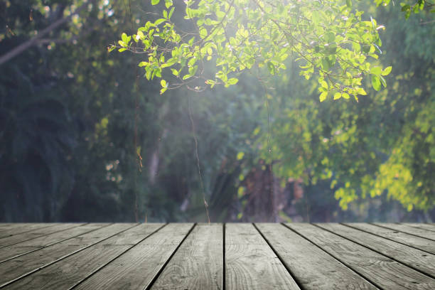 istock Wooden empty and blurred fresh green nature garden background. 1154976043