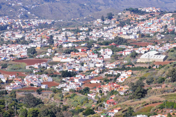 istock Valley in the Canary Islands 1154978191