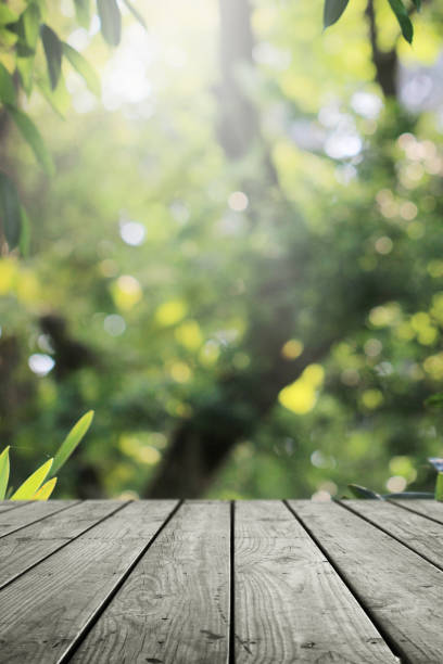 istock Wooden empty and blurred fresh green nature garden background. 1154978219