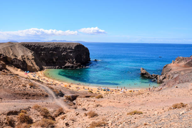 istock Landscape in Tropical Volcanic Canary Islands Spain 1154979253