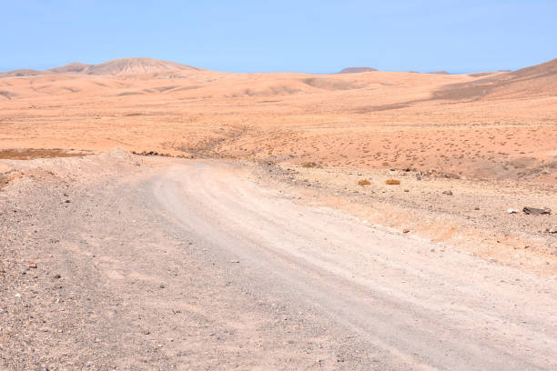 istock Landscape in Tropical Volcanic Canary Islands Spain 1154979329