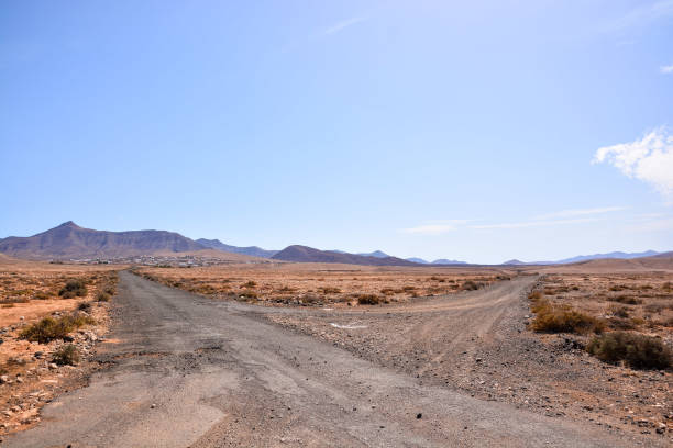 istock Landscape in Tropical Volcanic Canary Islands Spain 1154979425