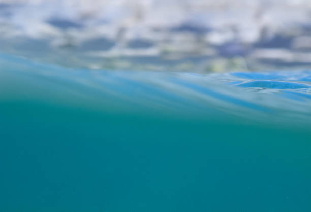 istock The surface of the water 1154979524