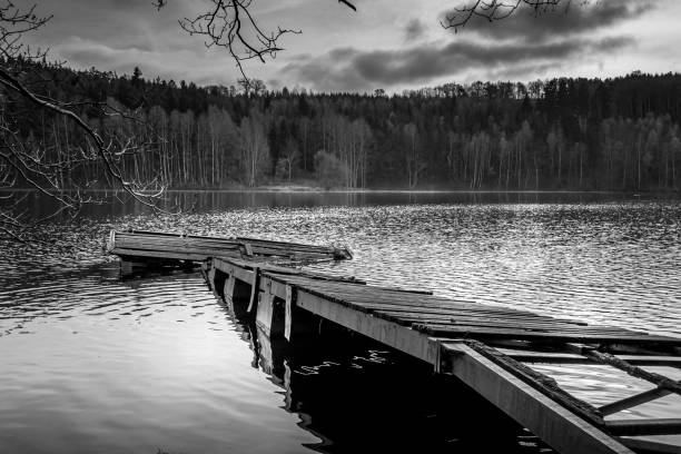 istock Greyscale image of an old broken jetty on a lake 1154980241