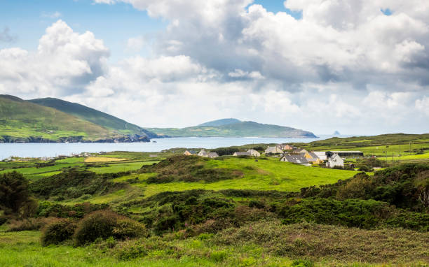 istock Landscape at Lamb's Head in Ireland 1154981787
